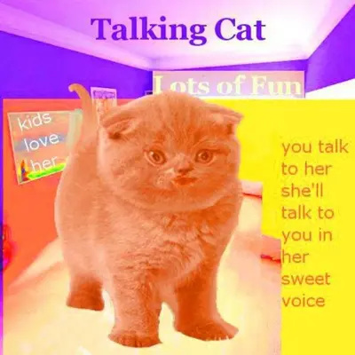 Cat Talking android App screenshot 2